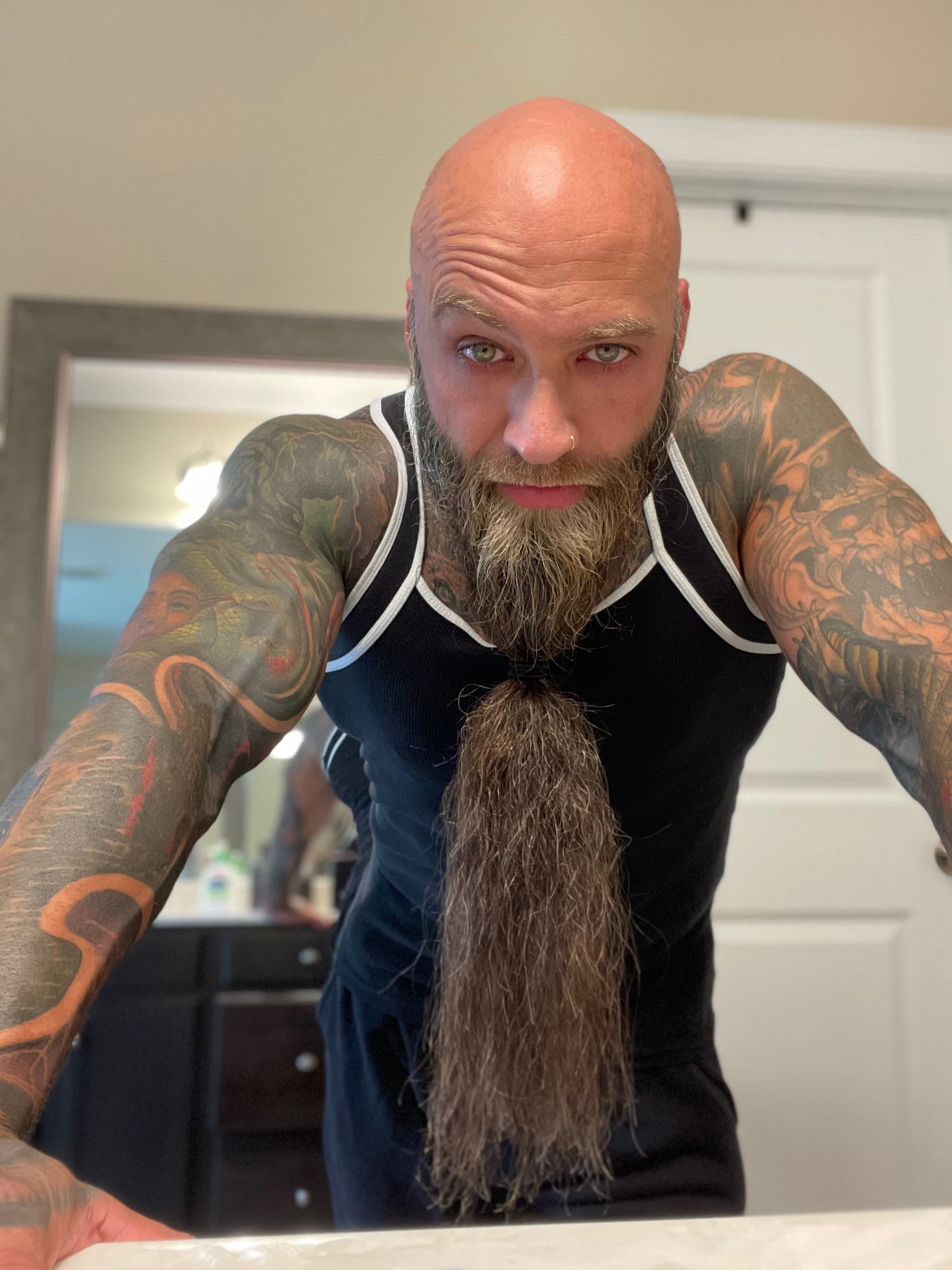 Viking cover
